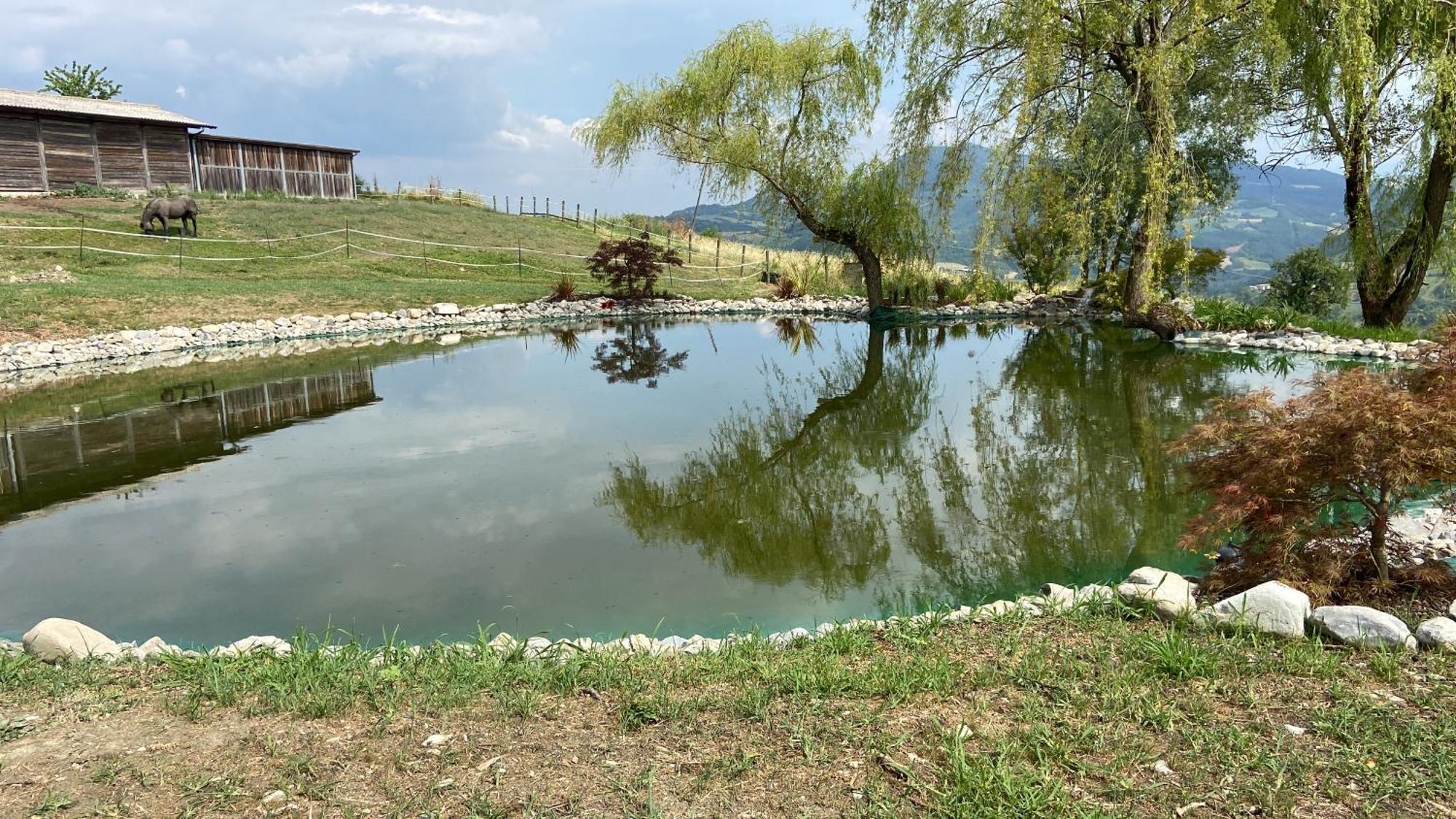 Agriturismo Cergallina Vernasca Eksteriør billede