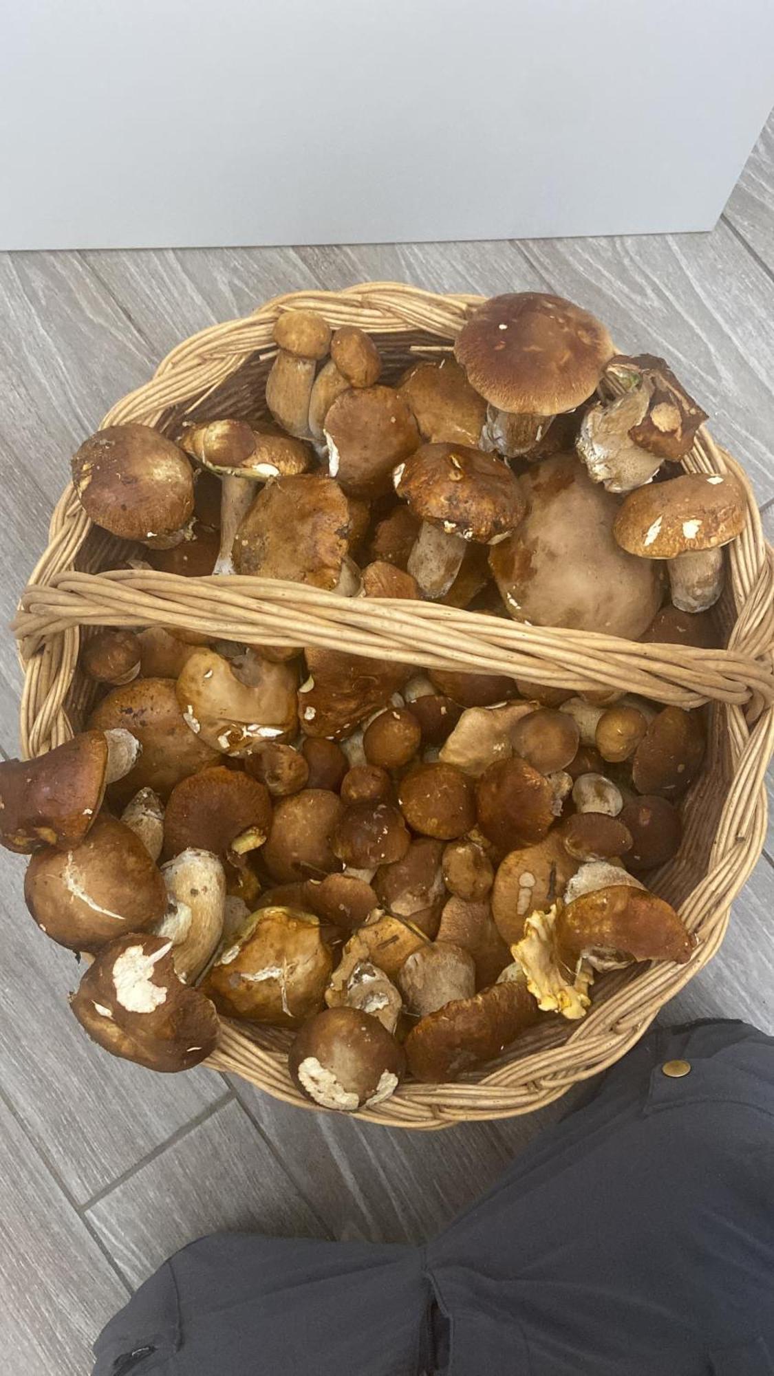 Agriturismo Cergallina Vernasca Eksteriør billede